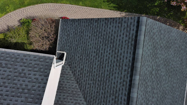 Best Roof Moss and Algae Removal  in Collinsville, TX